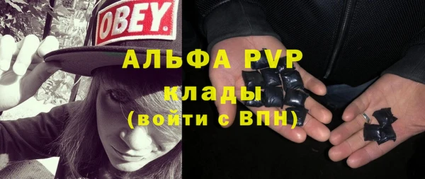 прущие грибы Вязьма